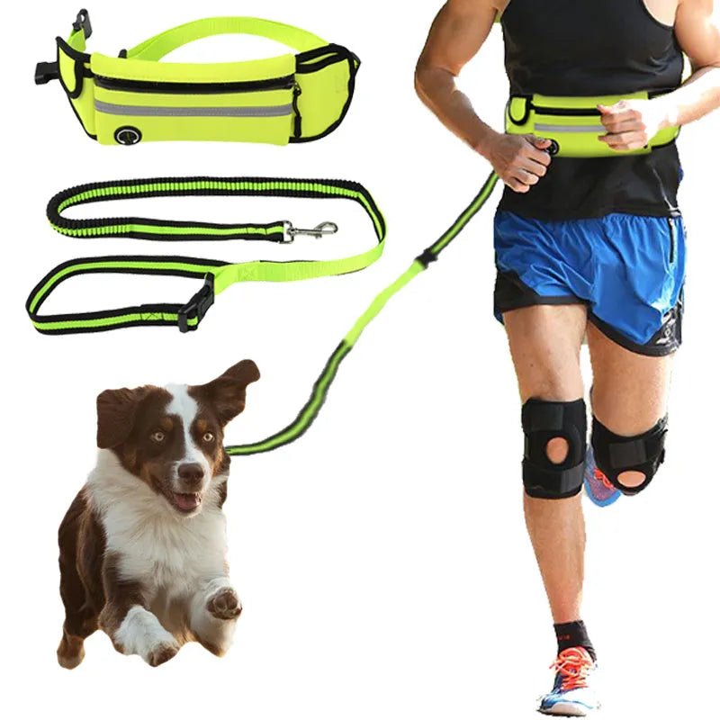 Pet Waist Bag with Sports Traction Rope Reflective Waterproof Design for Running