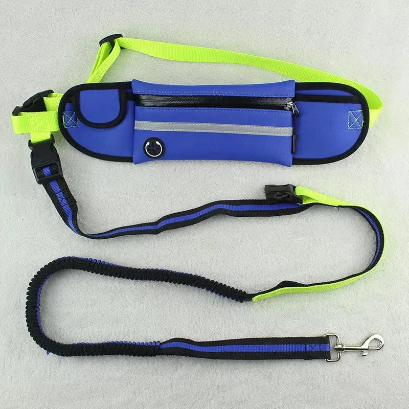 Pet Waist Bag with Sports Traction Rope Reflective Waterproof Design for Running