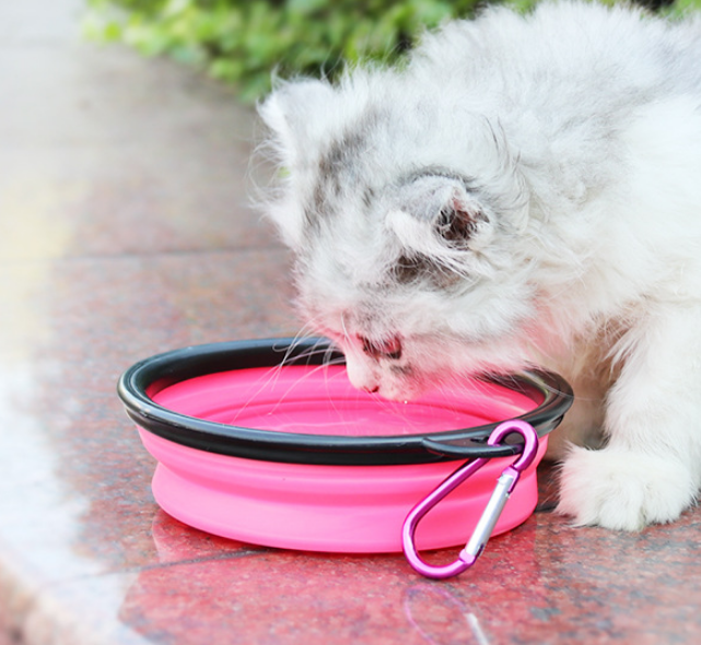2 In 1 Pet Water Bottle Dispenser Travel Portable Dog Cat Drinking Silicone Bowl