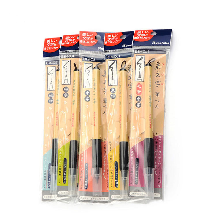 Beautiful Writing Calligraphy Practice Pen Pigma Micron Fineliner Pens - Archival Black Ink Pens - Pens for Writing, Drawing, or Journaling