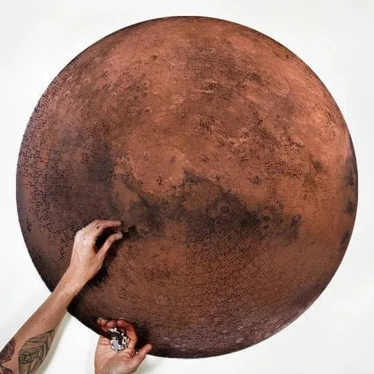 Moon Earth Jigsaw Puzzle 1000 Pieces Large Round Space Design Fun Challenging Gift