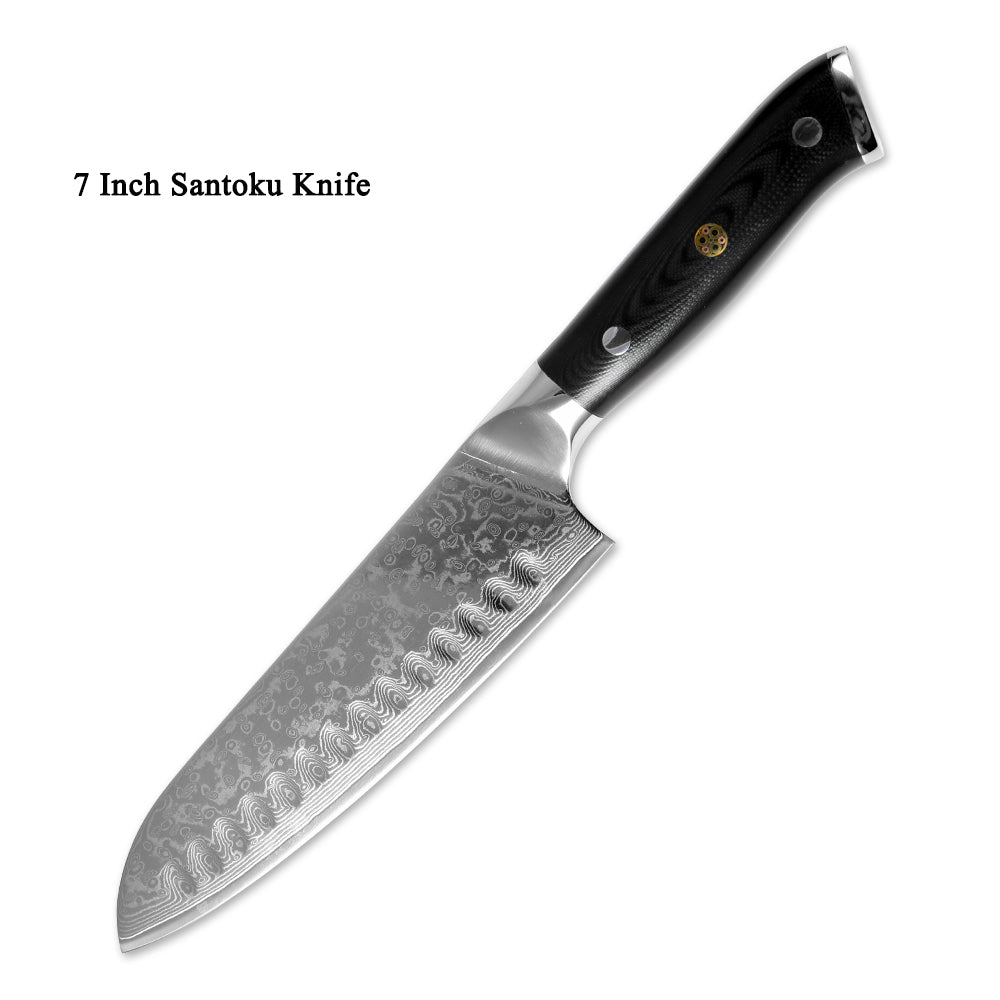 Japanese Damascus Steel Kitchen Knife 20cm Fruit Knife G10 Handle 67 Layer Blade