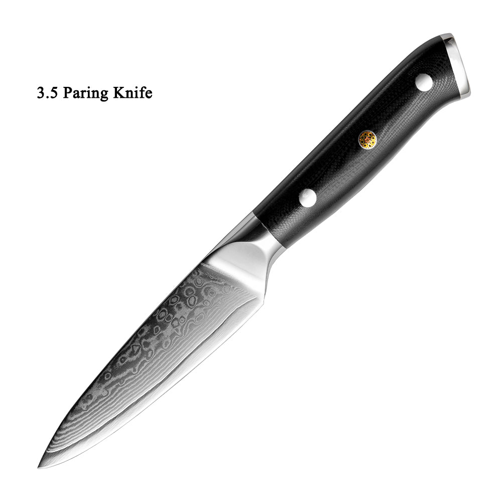 Japanese Damascus Steel Kitchen Knife 20cm Fruit Knife G10 Handle 67 Layer Blade