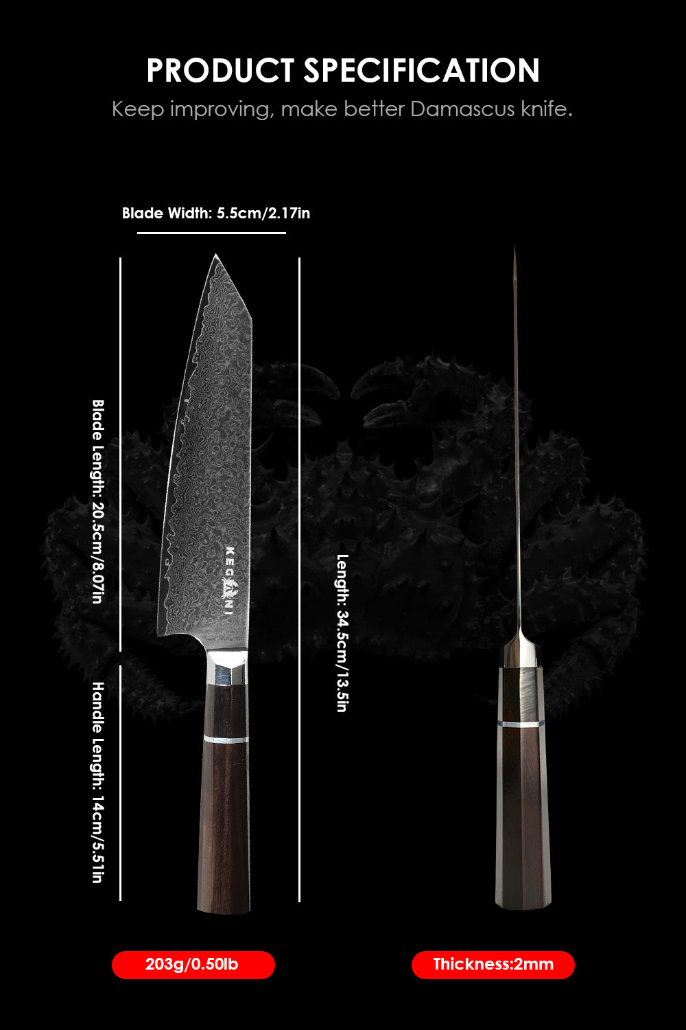 Kegani 8 Inch Japanese Kiritsuke Chef Knife, Japanese 67 Layers VG-10 Damascus Knife, Ebony FullTang Handle Natural Texture Japanese Knife Sushi Knife Gyuto Knife