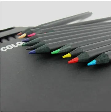 Professional Colored Pencils for Adults and Teens Premium Art Supplies for Coloring Blending and Layering